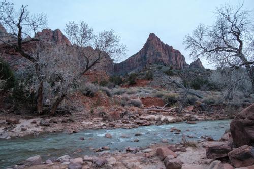 River in Zion Nation Park