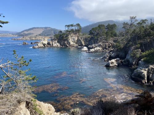 Point Lobos CA