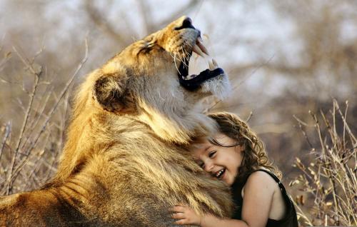 Girl hugging lion art wall for decorate! Cute Love