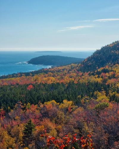 Beehive loop trail, Maine   @naturehacked