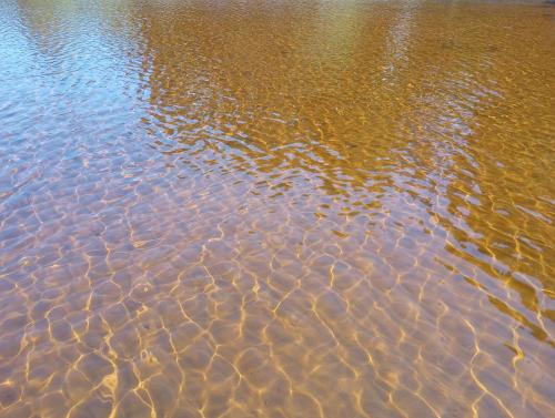 Tannin-stained waters with sandy bottom, Northern Ontario, Canada