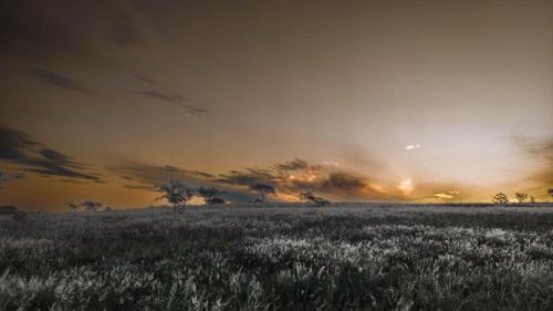 Sunset over white field