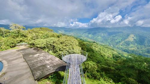 amazon jungle lookout