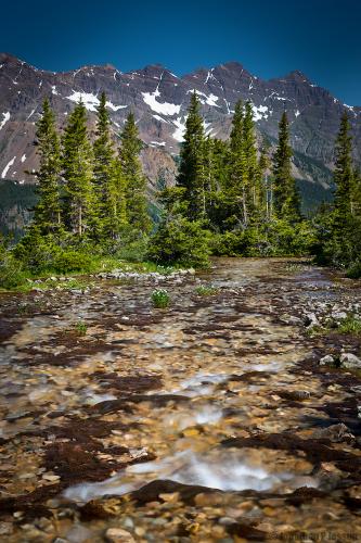 A nice stream in the Rocky Mountains, USA