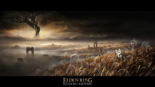 New Elden ring DLC image.