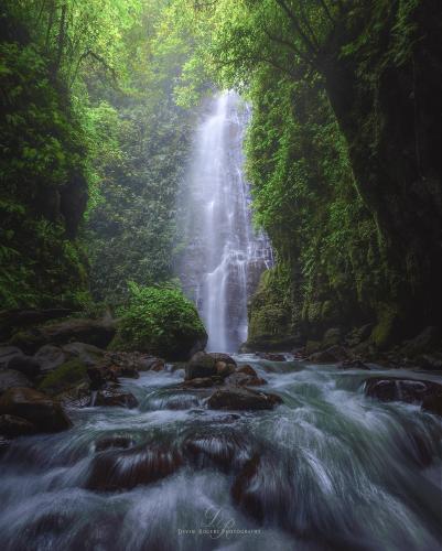 Deep in one of the many river canyons of Costa Rica lies a small paradise   @devinrogersphotography
