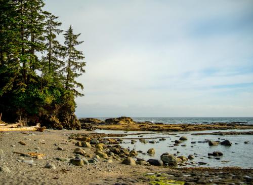 Botanical Beach in Juan de Fuca Provincial Park, BC, Canada