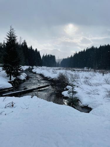 Gold Creek Trail, Snoqualmie, WA