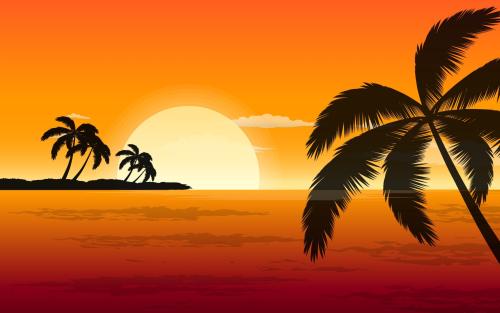 Palm trees, sunset at sea horizon