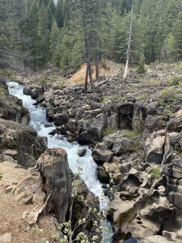 Upper Mccloud before Falls Mt Shasta CA