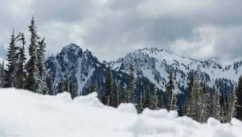 Mount Rainier National Park, WA, USA