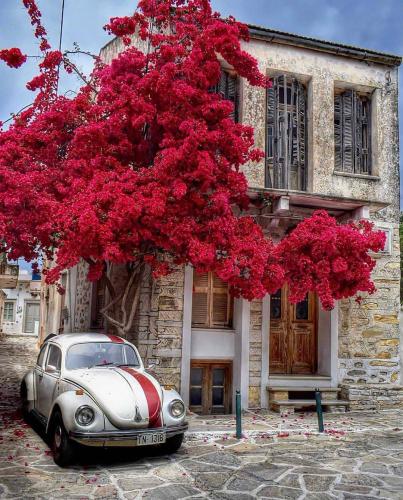 Naxos Island, Greece