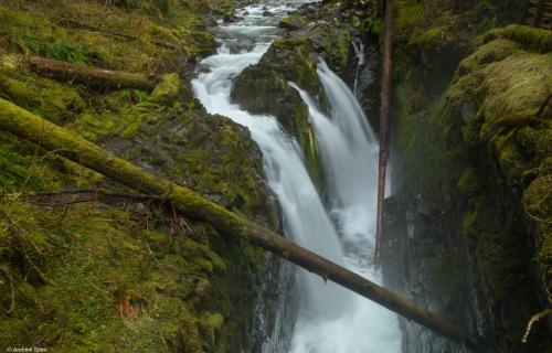 Sol Duc Falls, Olympic National Park, WA, USA