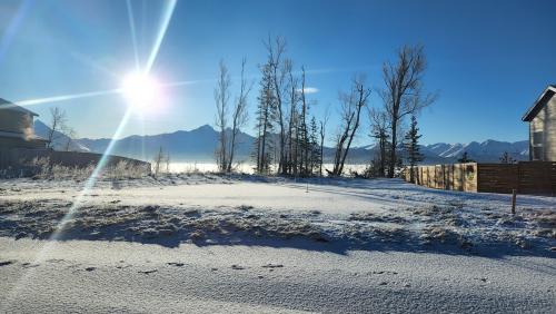An Alaskan winter morning