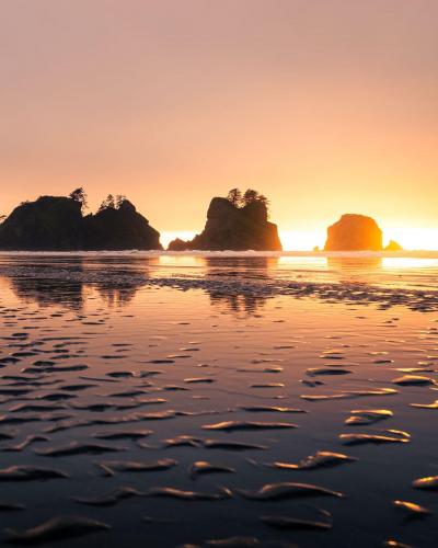 Last Light on the Washington Coast