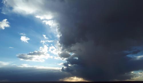 Back yard after a rainy day, Arizona