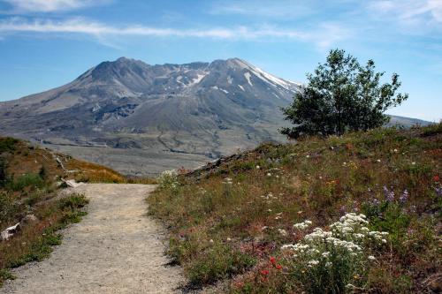 Mt St Helens, WA