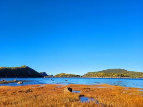 A fall morning at Bic National Park, Quebec