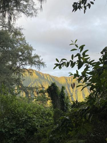 Golden Ko’olau Mountain Range from Pu’umaelieli Hike [3024 x4032] OC ig:ludwig.gonzales