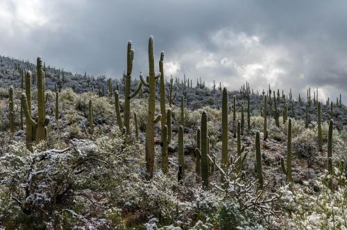 Sabino Canyon Recreation Area, Arizona