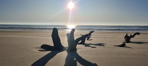 Ocean Beach, Bribie Island, Queensland Australia.