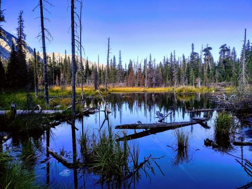 Glacier National Park - Two Medicine Lake, South Shore Trail