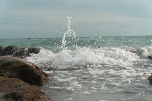 Just splashin' around - Caspersen Beach, FL