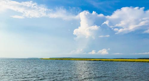 Tranquil Edisto Island, South Carolina