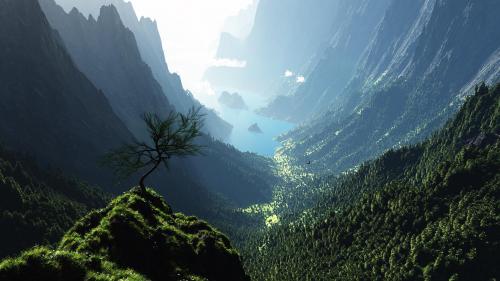 Highland Spring