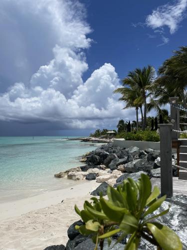 Turks and Caicos Pelican beach