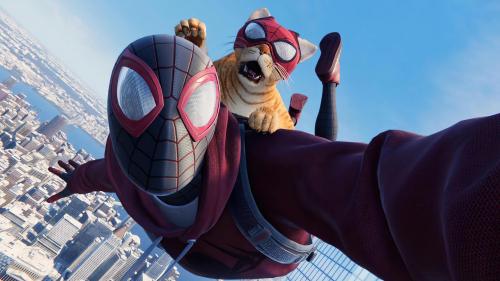 Spider Man and Cat.