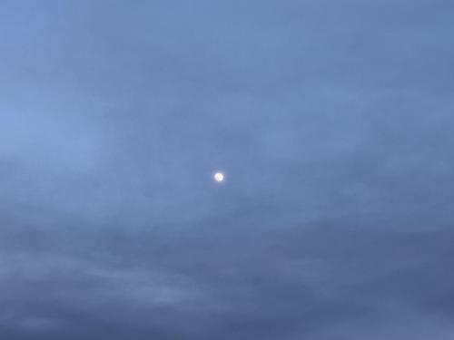 Moon over Woodburn, OR yesterday, late afternoon