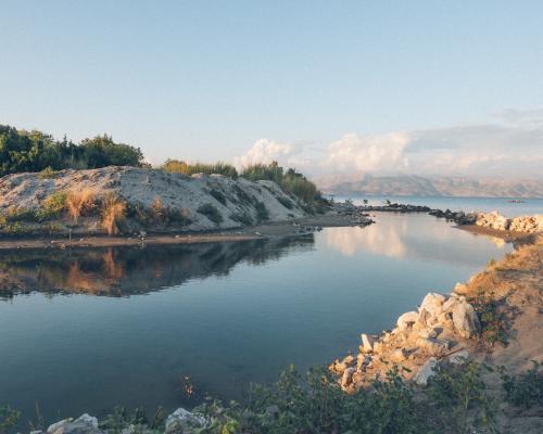 Body of Water Near Plants