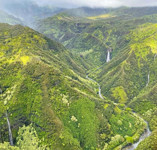 Aerial view of waterfalls, Kauai