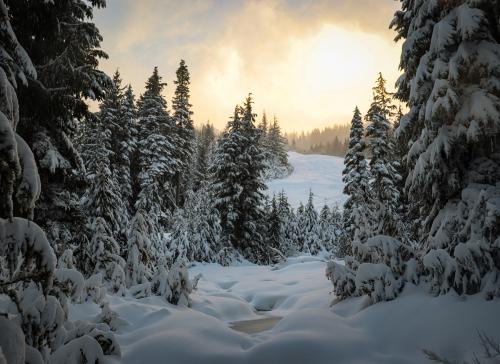 Cypress Mountain, BC Canada