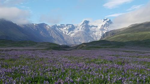 June in Iceland