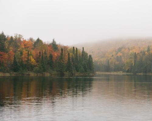 Upper Peninsula Fall Colors, MI  [4841 × 3873]