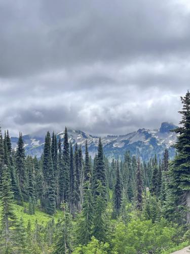 Paradise section of Mount Rainier