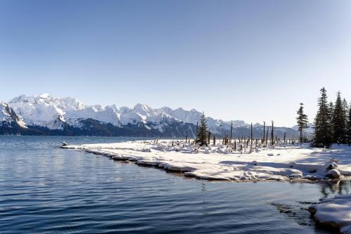 High Tide at the Tonsina Ghost Forest in Seward, Alaska