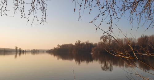 Morning chill near lake around the Danube river  - Serbia