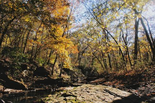  Midwestern Fall: Missouri [5184x3456]