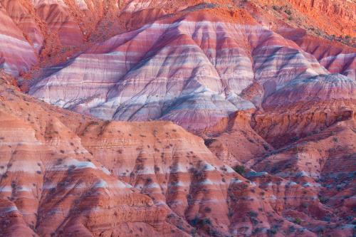 Some badlands of Grand Escalante National Monument