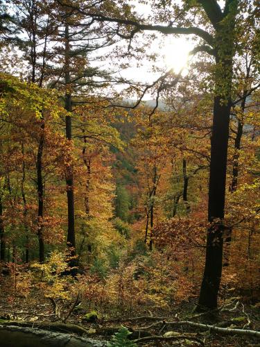 Northern Hessen in Fall