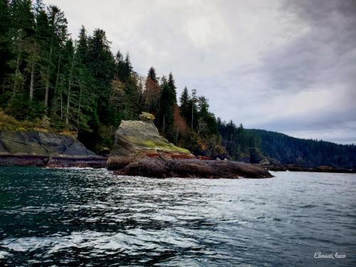 olympic coast, washington state OC