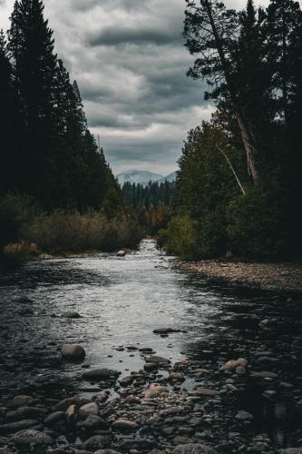 Mineral Creek, CA, USA