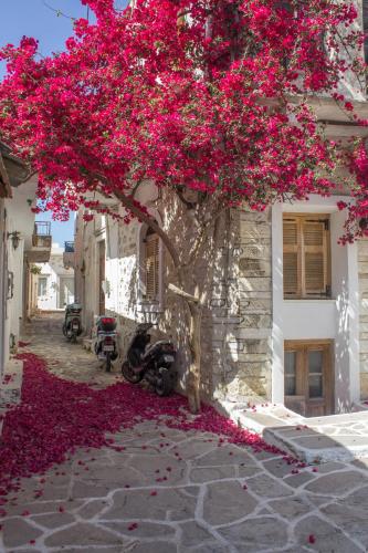 Chalki, Greece