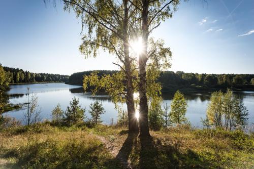 Two birches, Siberia
