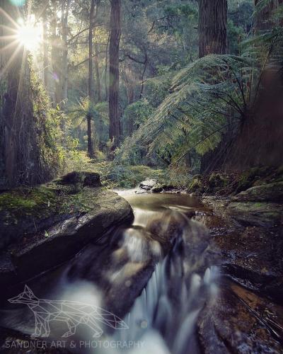 Hidden Stream, Dandenongs Victoria, Australia  @steven.sandner