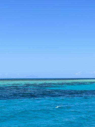 Mackay Cay Reef