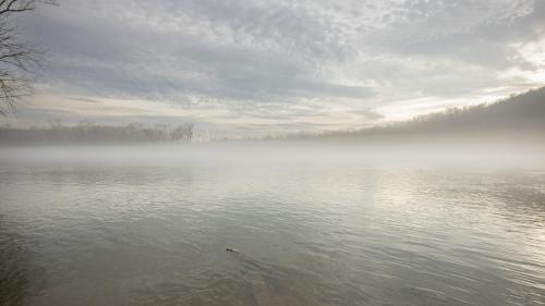 Low fog over the river